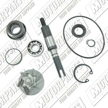 TOP KIT REPARACION BOMBA SH/DYLAN 125